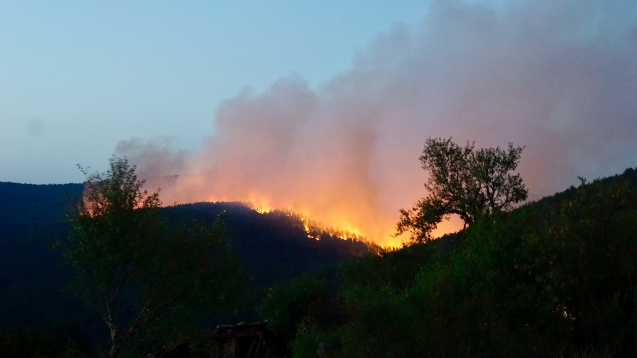 Kastamonu Karabük Araçta Yangın (1)