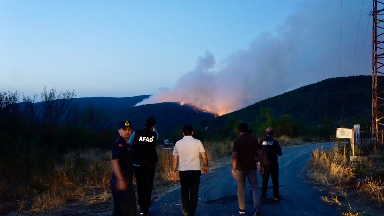 Kastamonu Karabük Araçta Yangın (4)
