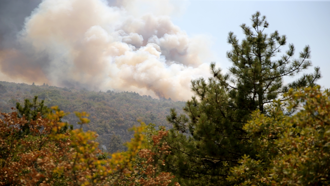 Kastamonu Karabük Orman Yangını Çıktı (4)