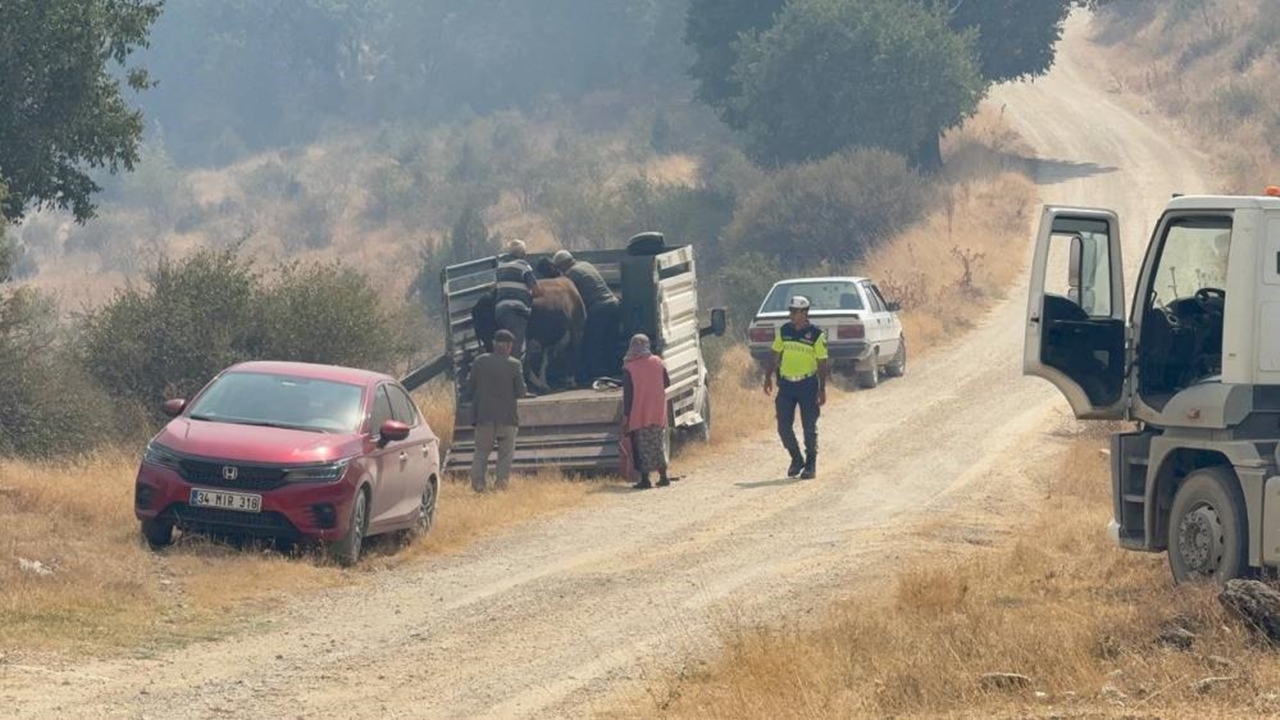 Kastamonu Karabük Orman Yangını Çıktı (5)