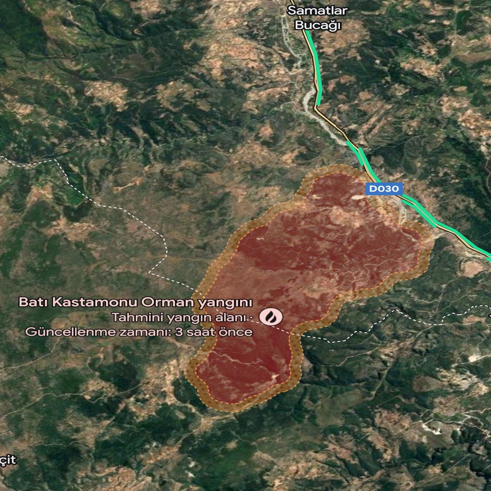 Kastamonu Orman Araç Yangın Google Harita