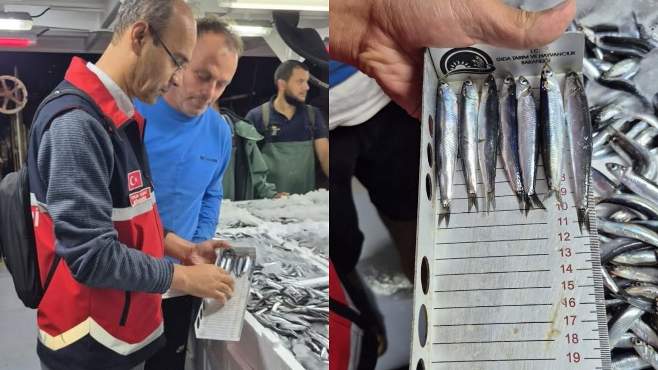 Kastamonu Sahilinde Denetimler Yoğunlaştı (2)