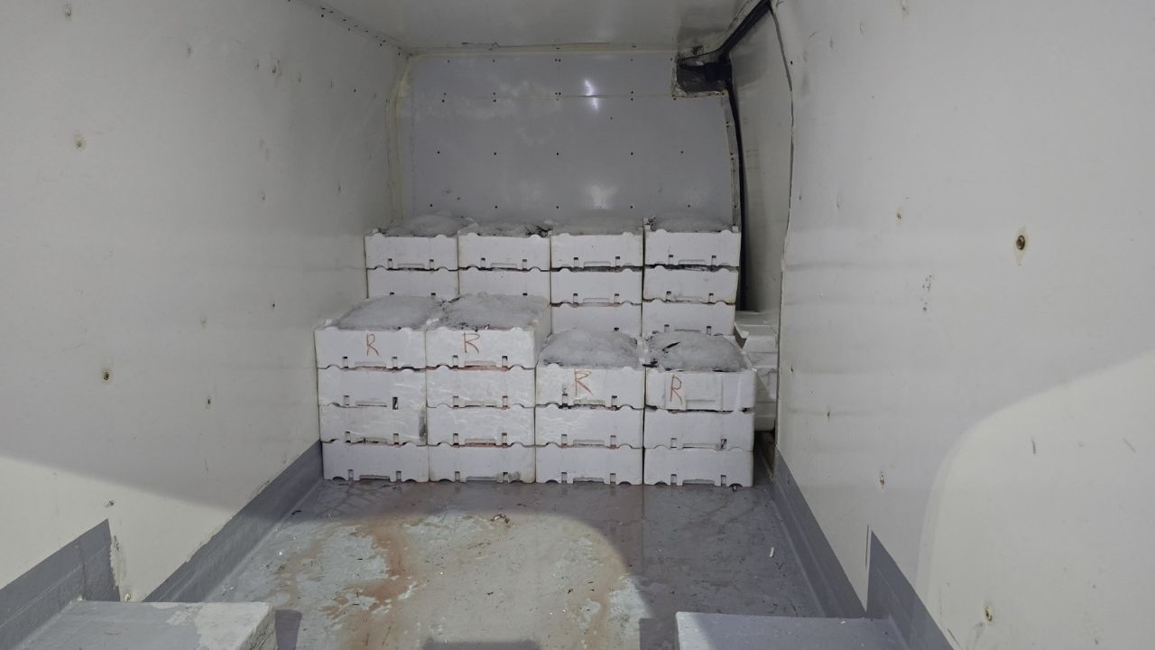 Kastamonu Sahilinde Hamsi Bereketi Tam 2 Bin 970 Kilo Yakalandı! (4)