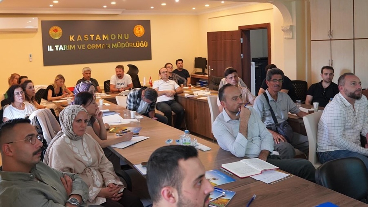 Kastamonu Tarım Yapay (2)