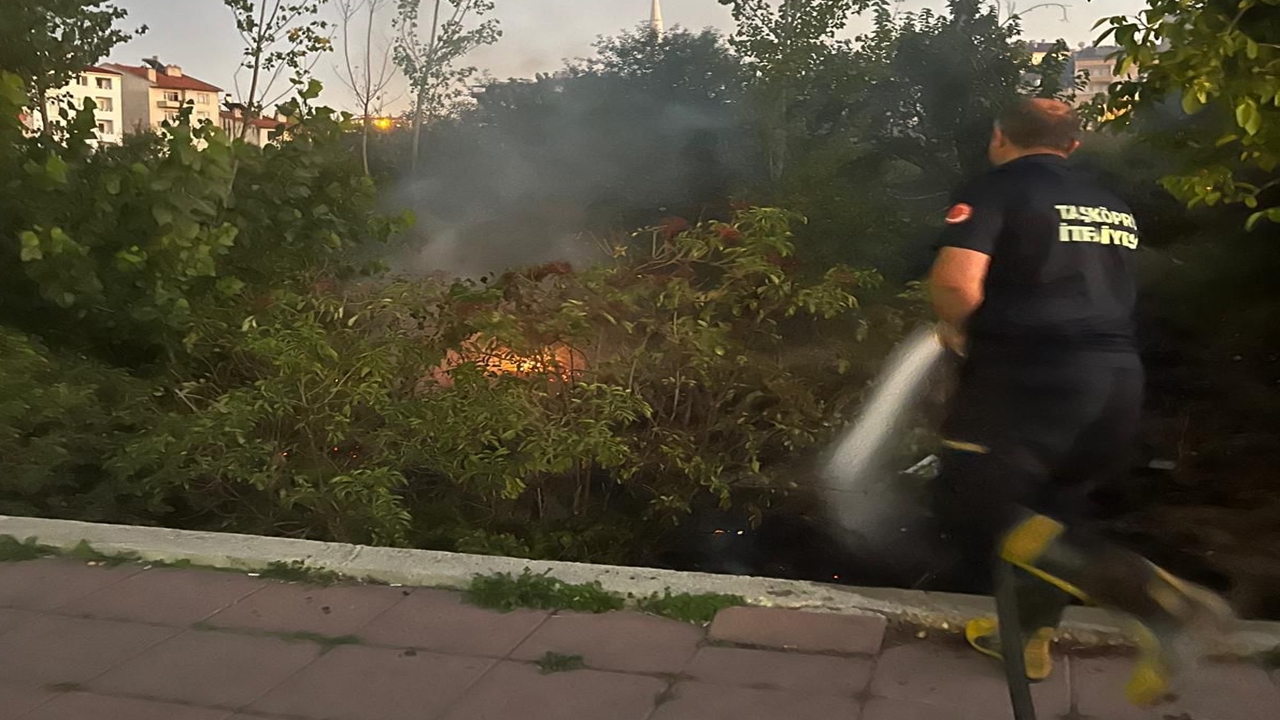 Kastamonu Taşköprü Ot Yangını (1)