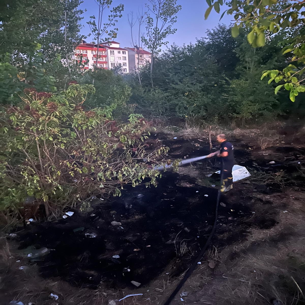 Kastamonu Taşköprü Ot Yangını (2)