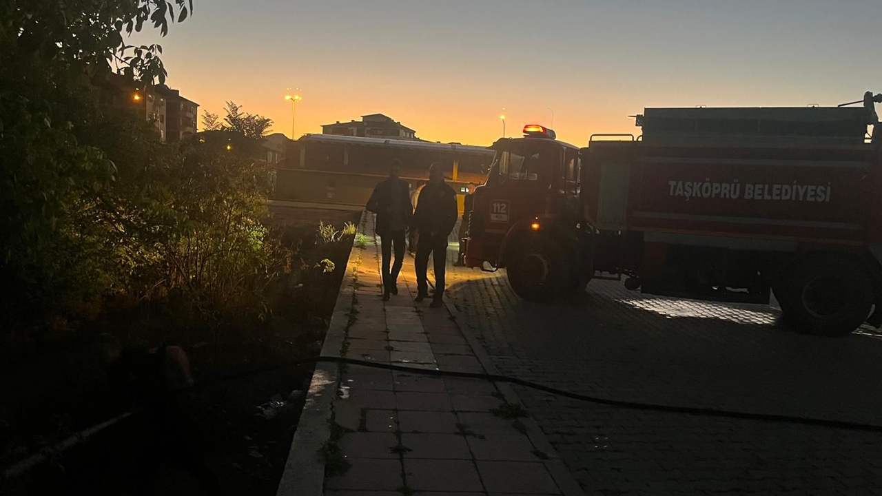 Kastamonu Taşköprü Ot Yangını (3)