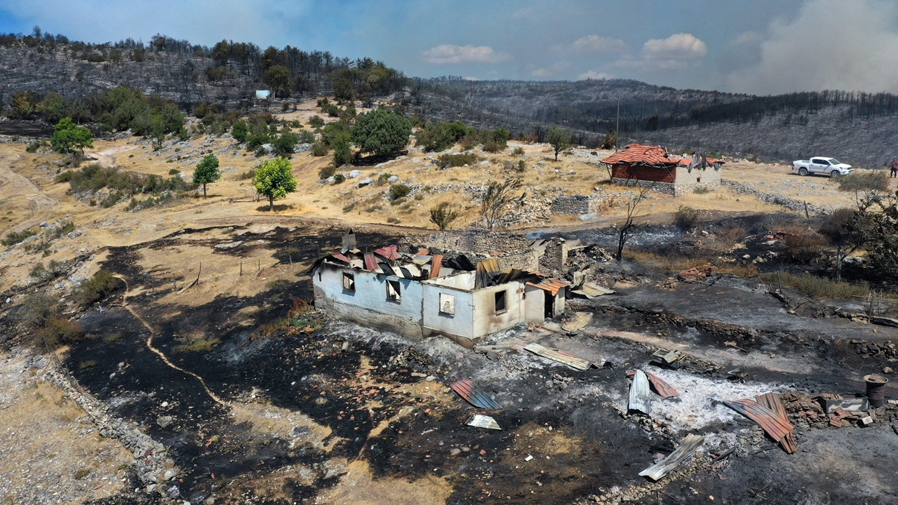 Kastamonu Toprak Cuma Tilki (6)