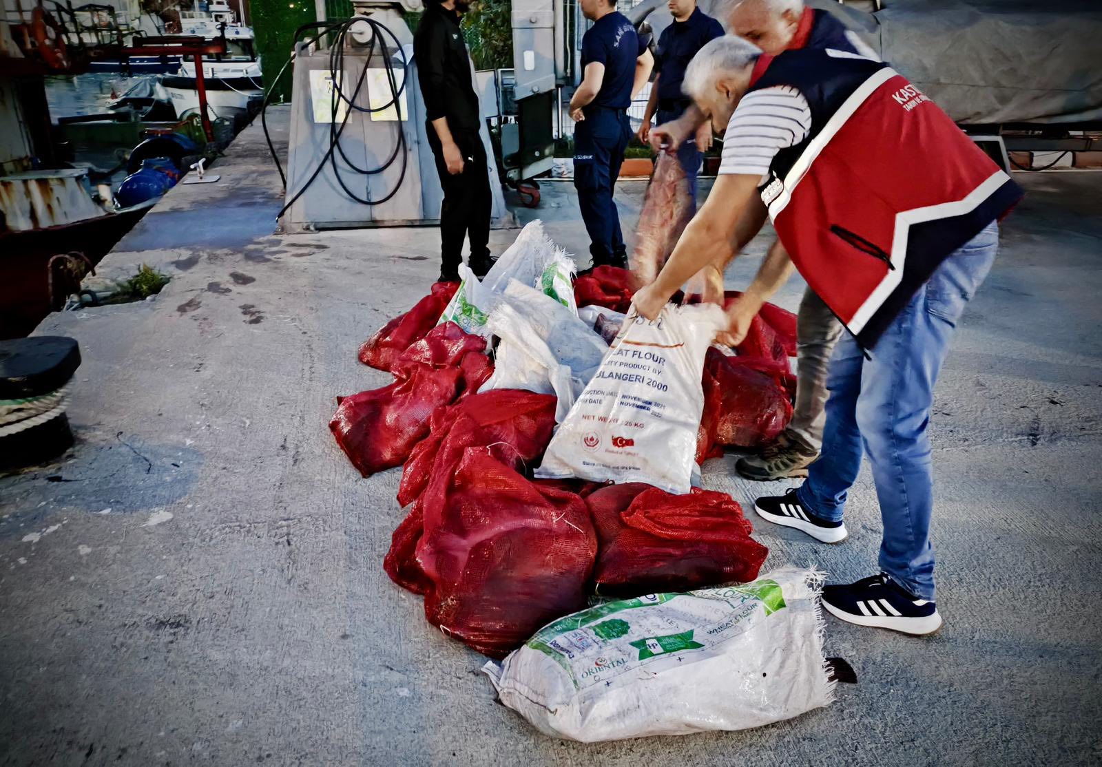 Kastamonu'da 142 Balığına El Konuldu, Ruhsat 3 Ay Askıya Alındı! 1