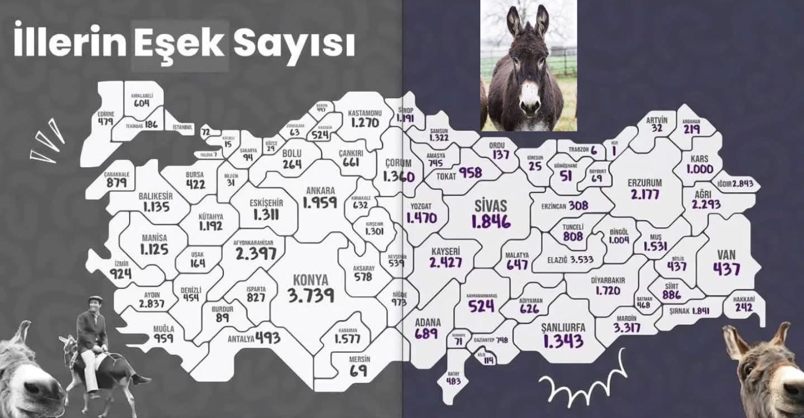 Kastamonu'da Eşek Sayısı Belli Oldu 200