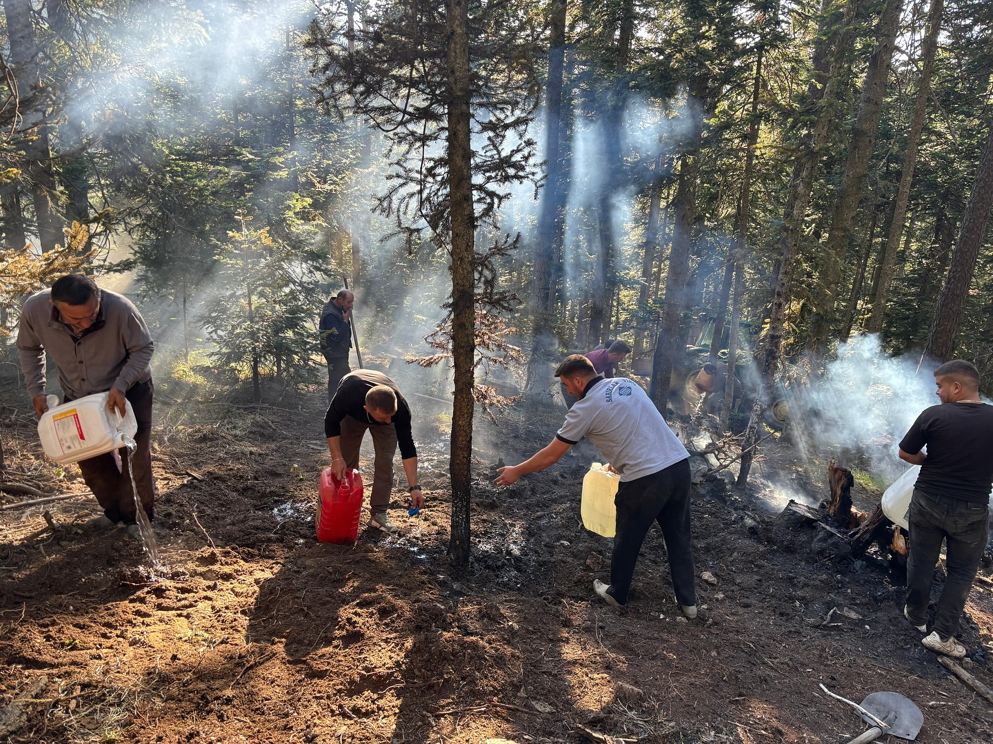 Kastamonu’da Orman Yangını Kontrol Altına Alındı 3