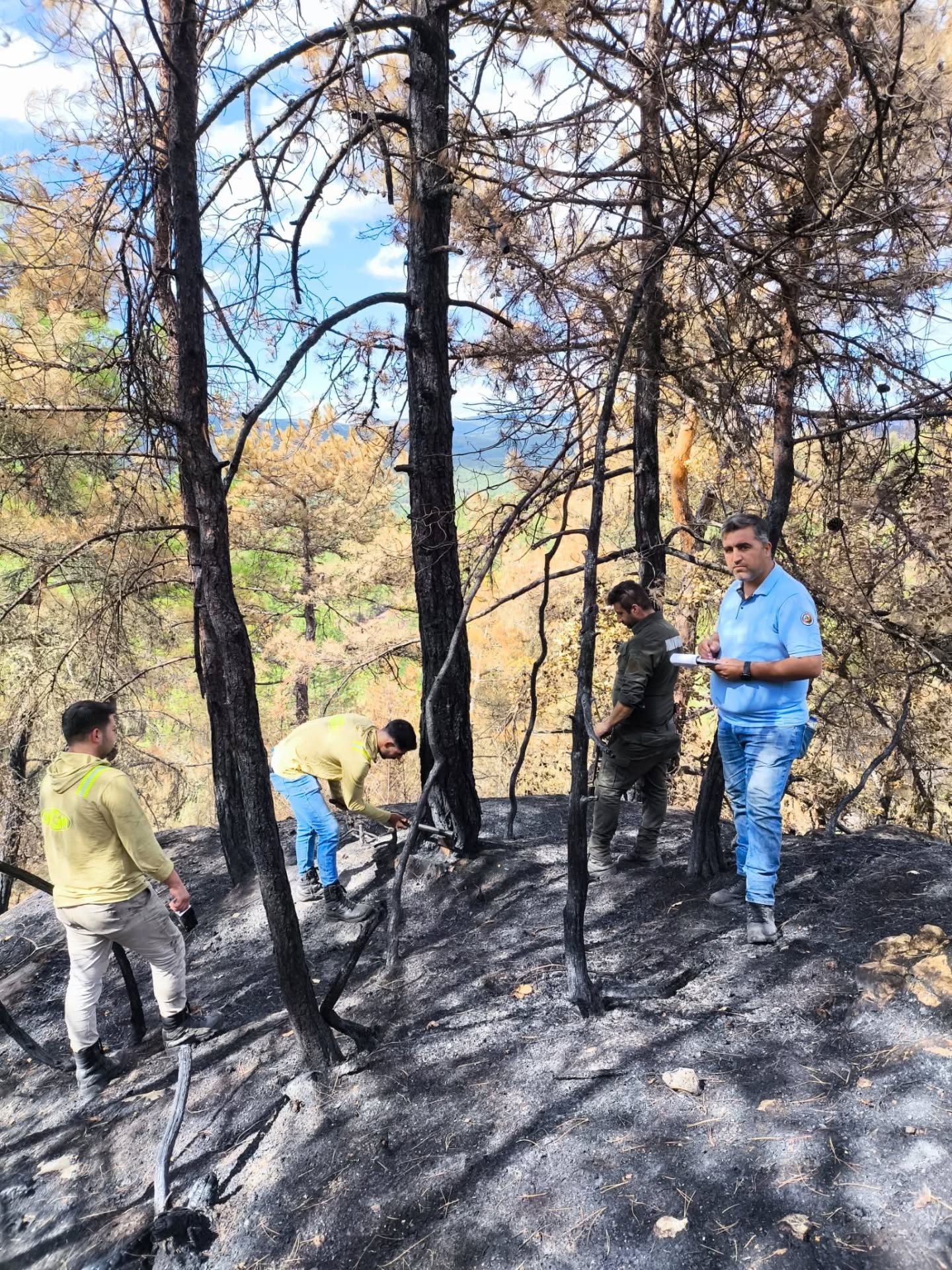 Kastamonu'da Orman Yangını Sonrası Çalışmalarına Hız Verdi 200