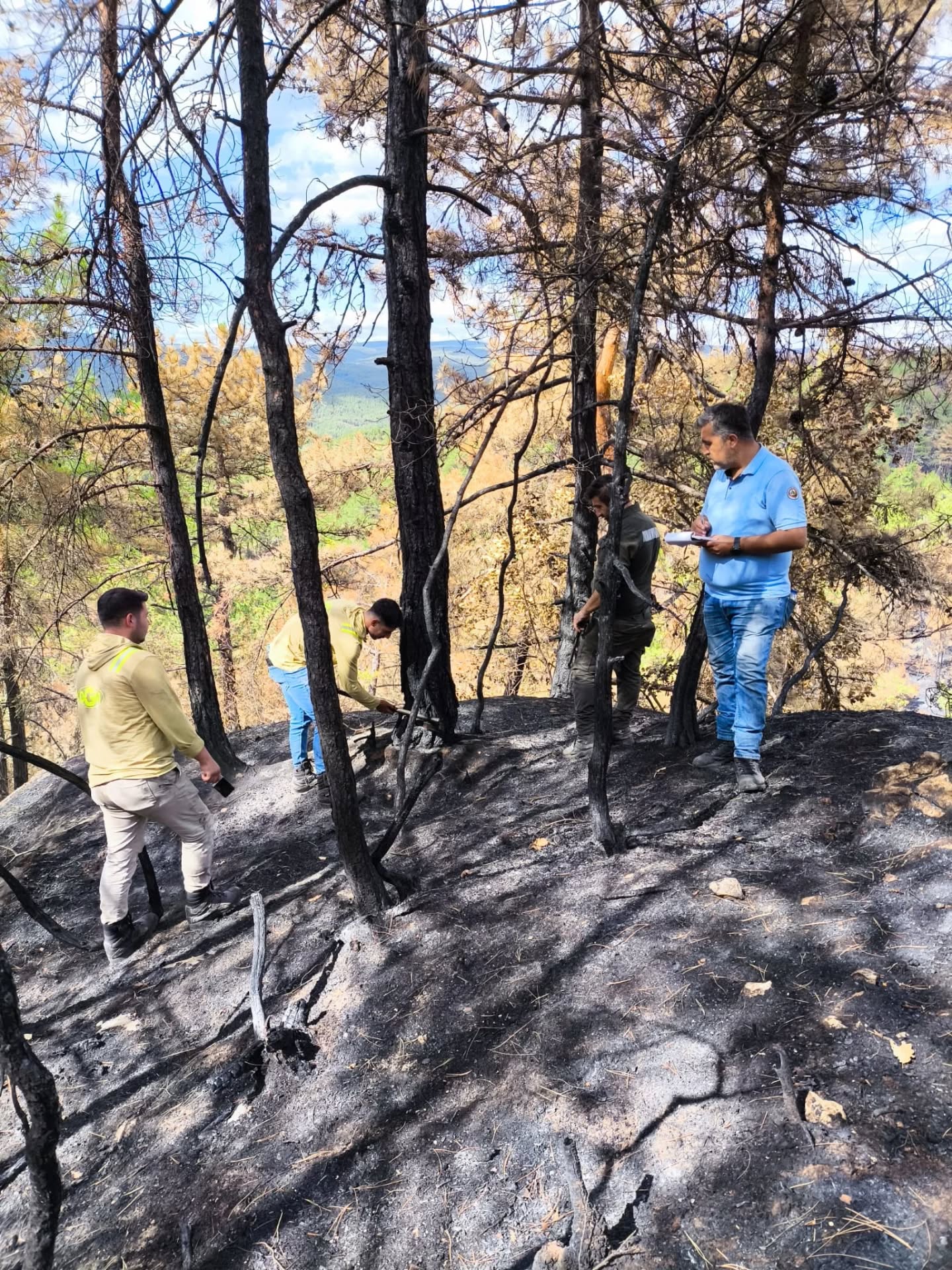 Kastamonu'da Orman Yangını Sonrası Çalışmalarına Hız Verdi 4