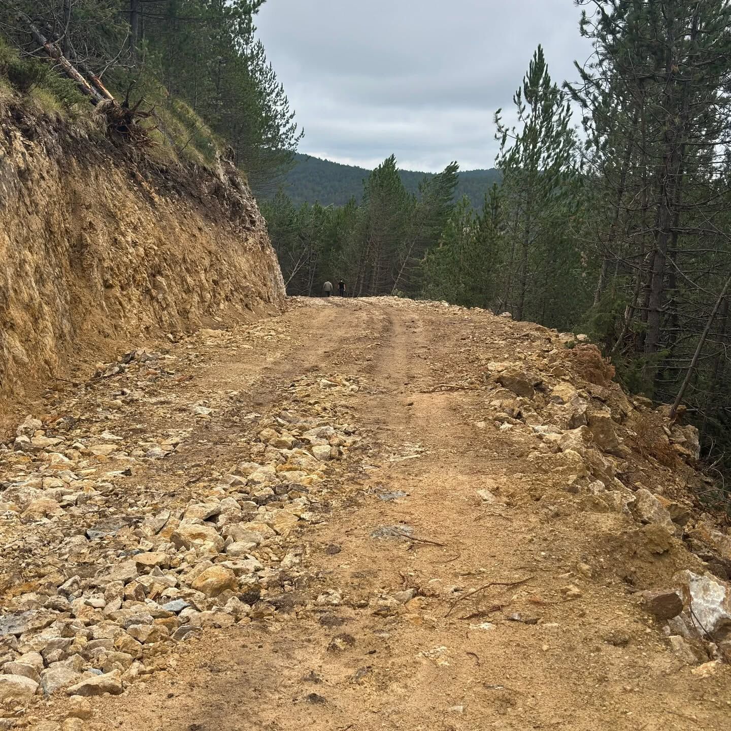 Kastamonu'da Orman Yolu Tamamlandı 1