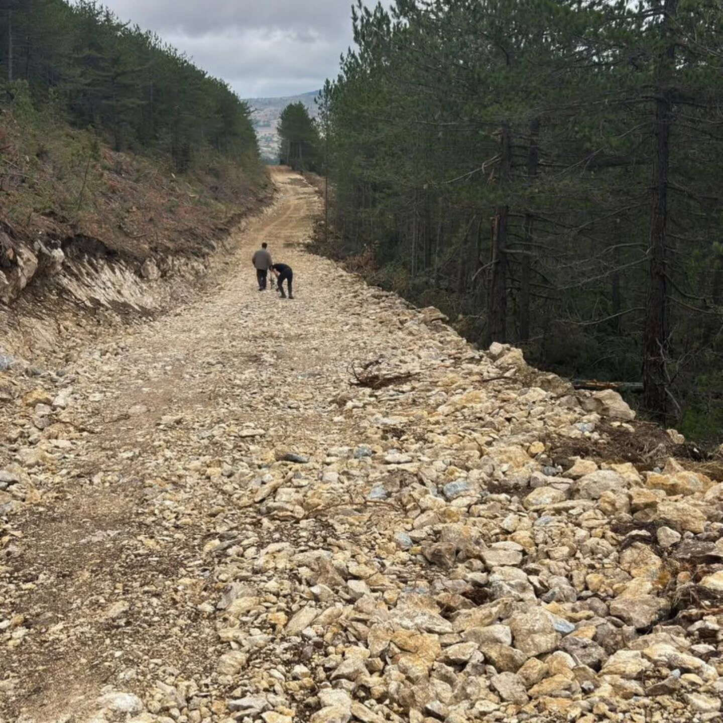 Kastamonu'da Orman Yolu Tamamlandı 25