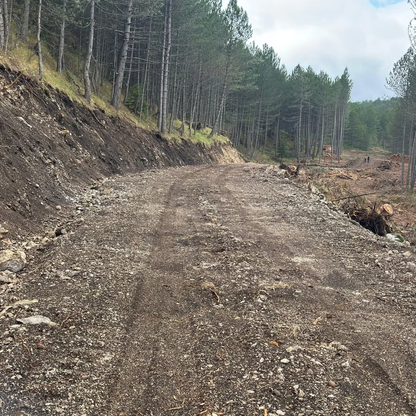 Kastamonu'da Orman Yolu Tamamlandı 3