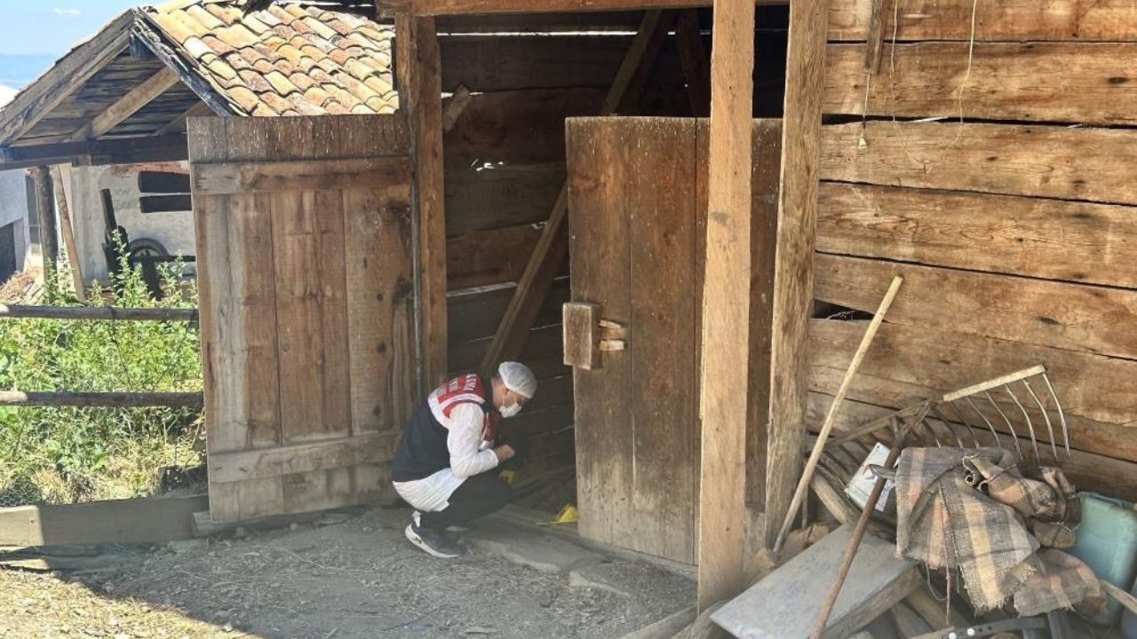 Kastamonu’da Samanlıkta Öldürülüp Dereye Atılmıştı Yargılama Sürüyor (1)