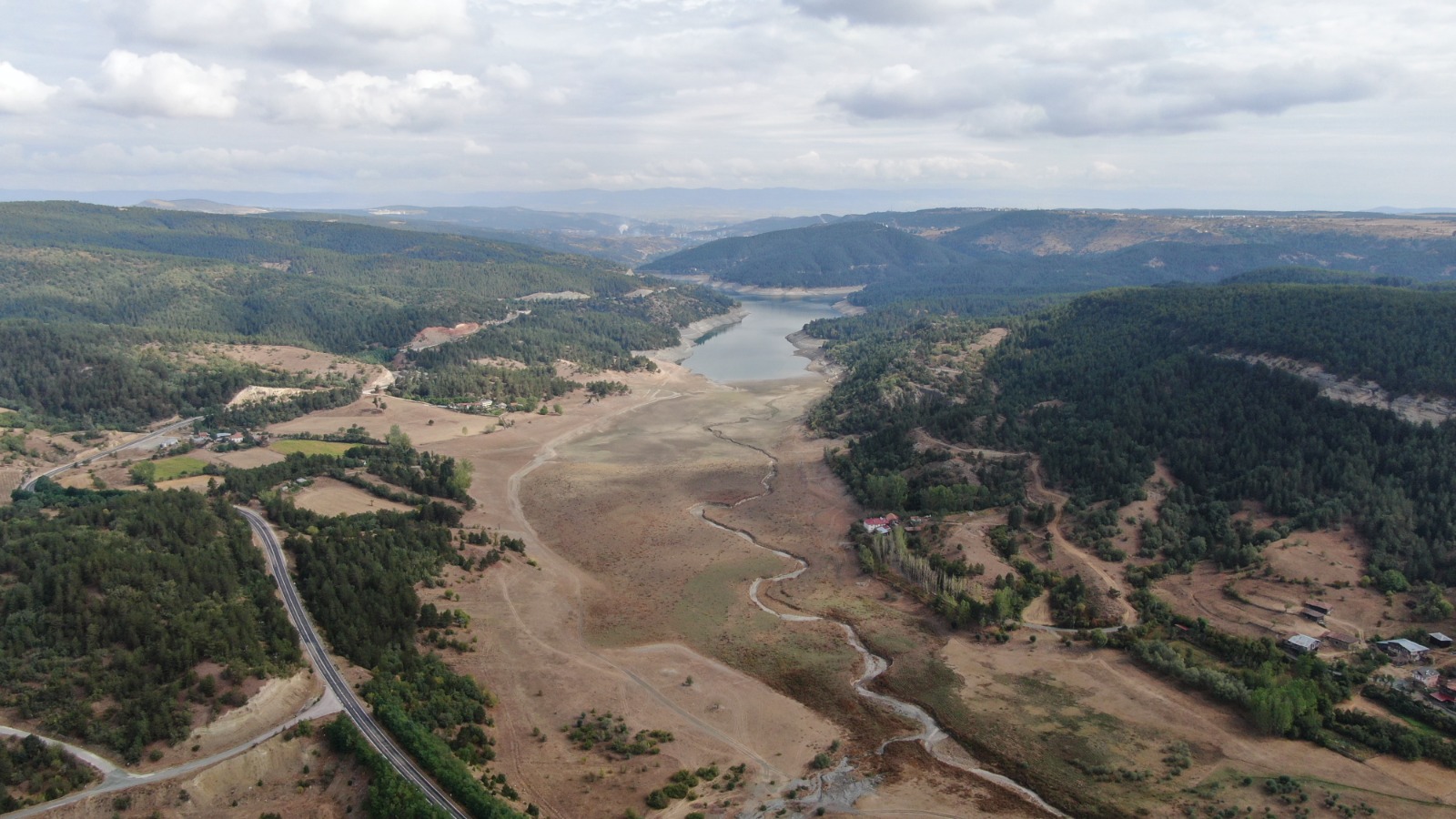Kastamonu'da Sular Çekildi, Ölü Balıklar Kıyıya Vurdu 1