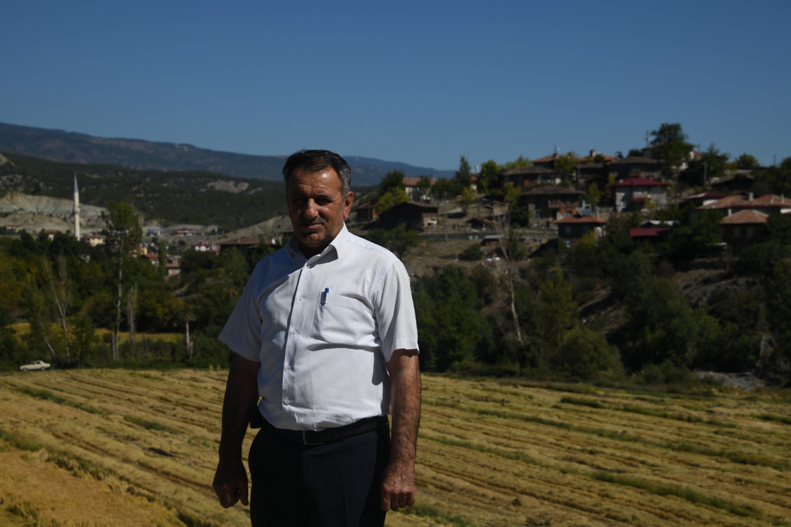 Kastamonu'da Tescilli 'Sarıkılçık' Hasadı Başladı 24