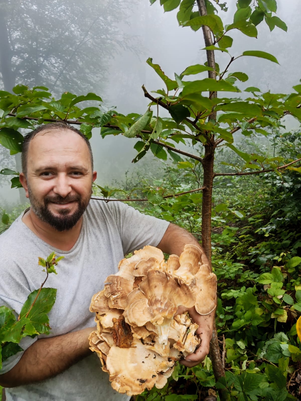 Kastamonu'da Yağış Sonrası Mantar Sezonu Başladı