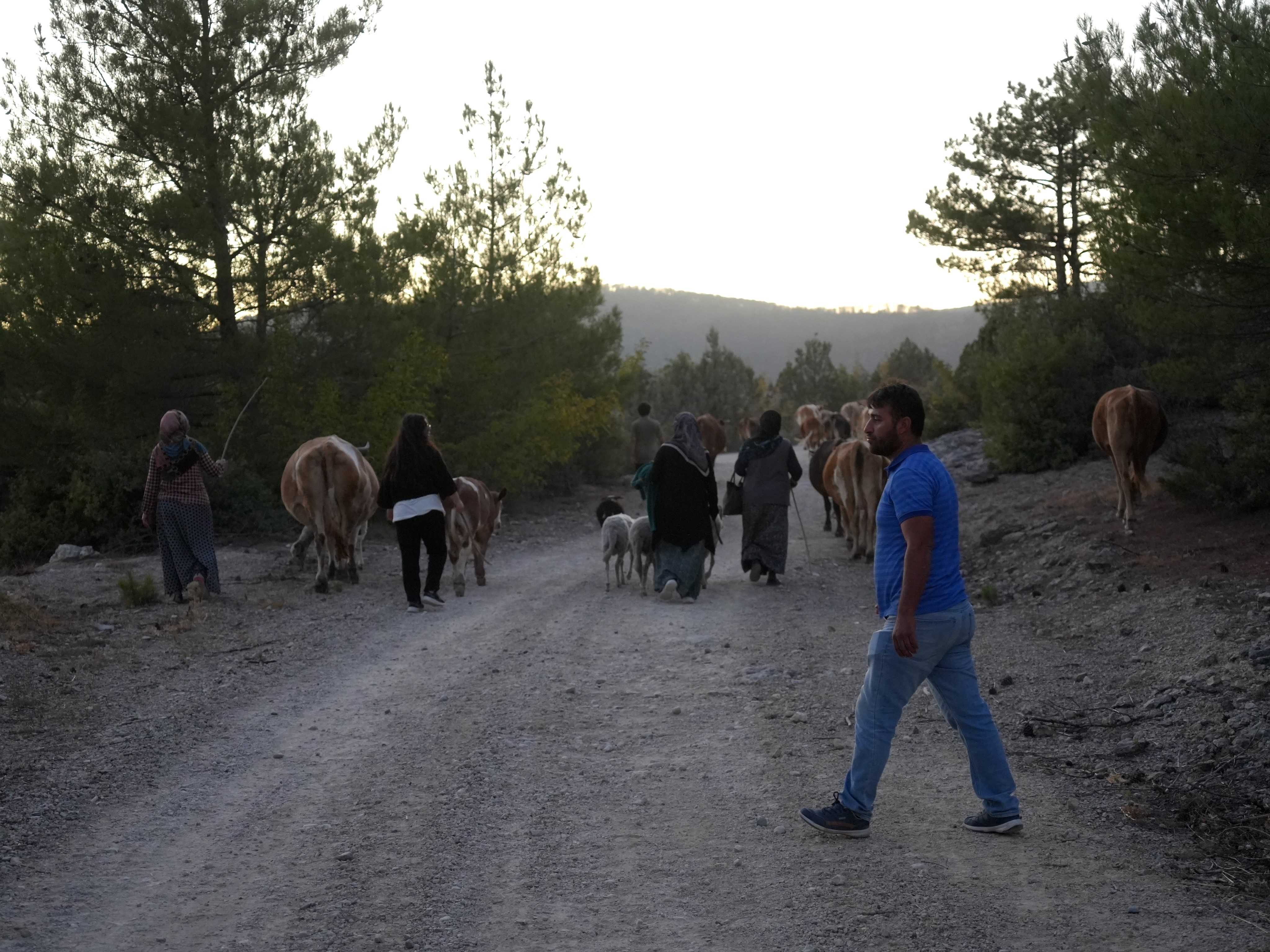 Kastamonu’da Yangın Söndürüldü, Tahliye Edilen Köylüler Evlerine Kavuştu 1
