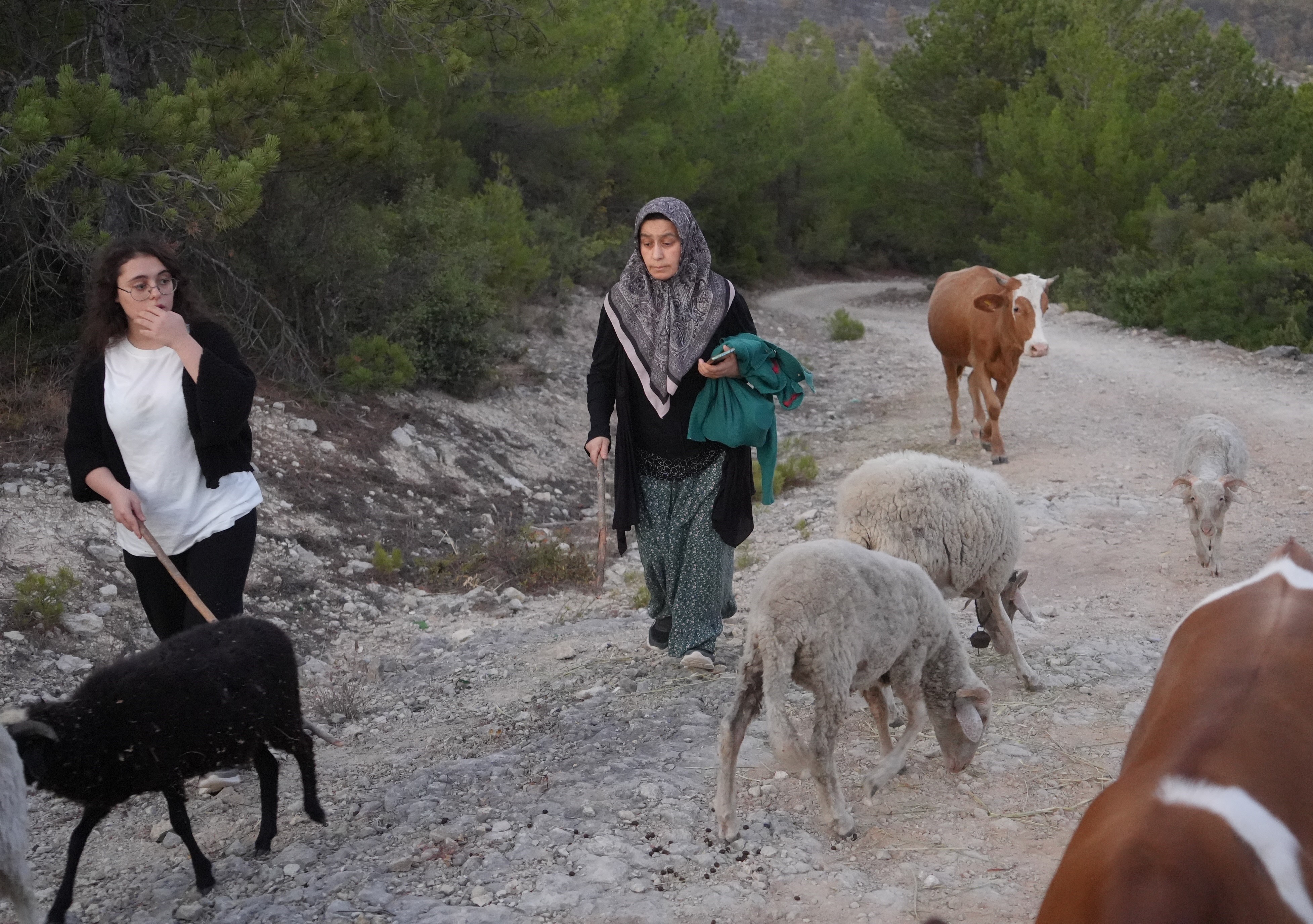 Kastamonu’da Yangın Söndürüldü, Tahliye Edilen Köylüler Evlerine Kavuştu 2