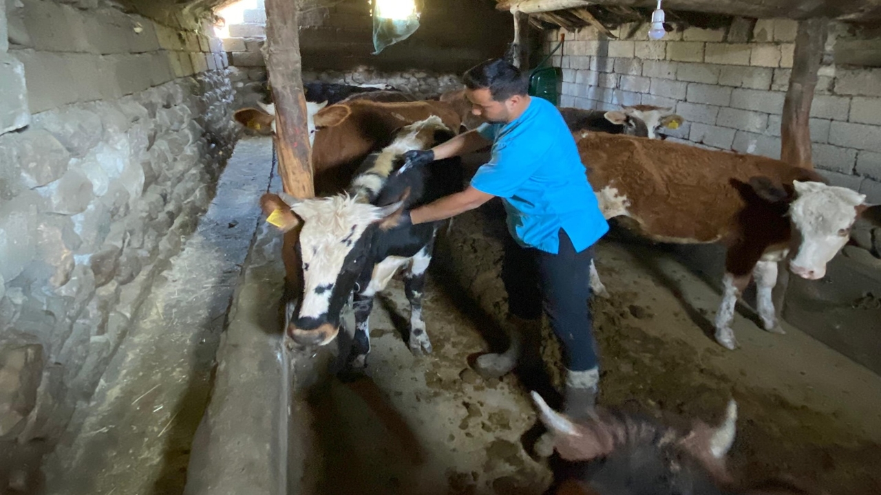 Kastamonu'dan Ağrı'ya Aşı Desteği (3)