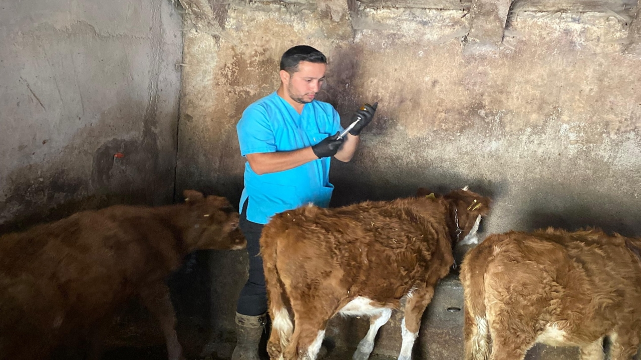 Kastamonu'dan Ağrı'ya Aşı Desteği (5)