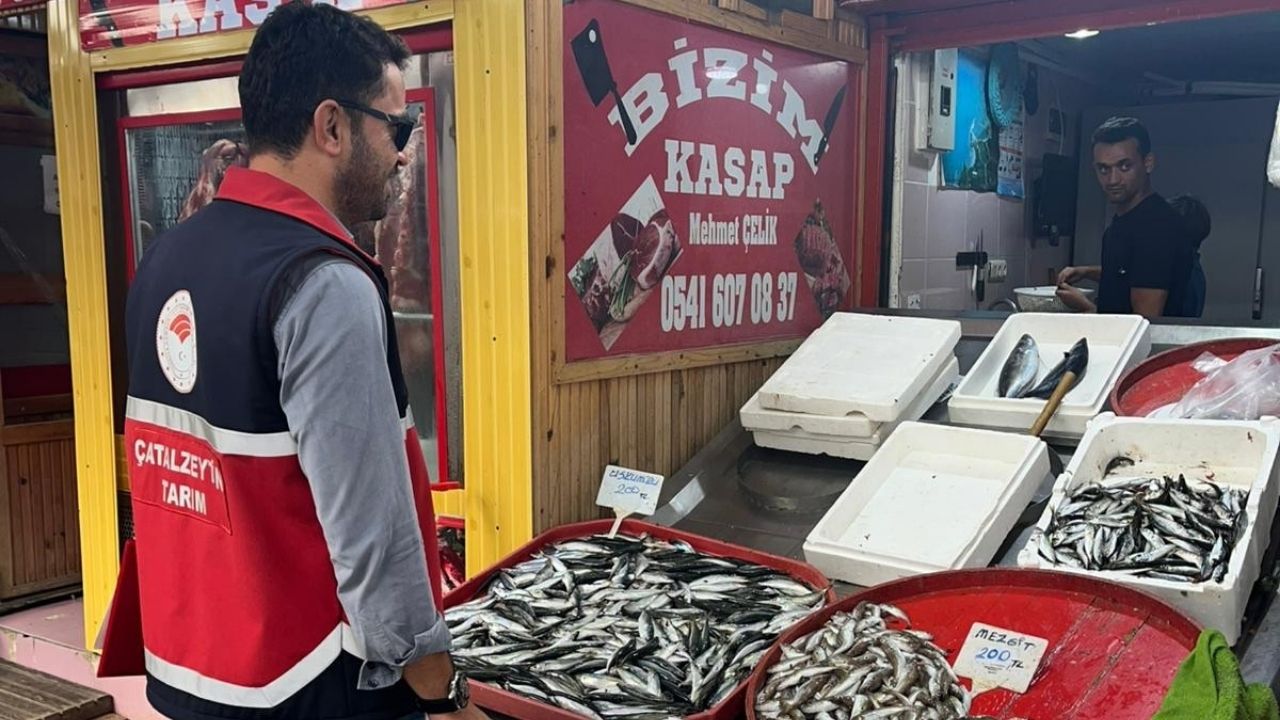 Kastamonu’nun Ilçesinde Balık Tezgahları Ve Av Bayileri Denetlendi (3)