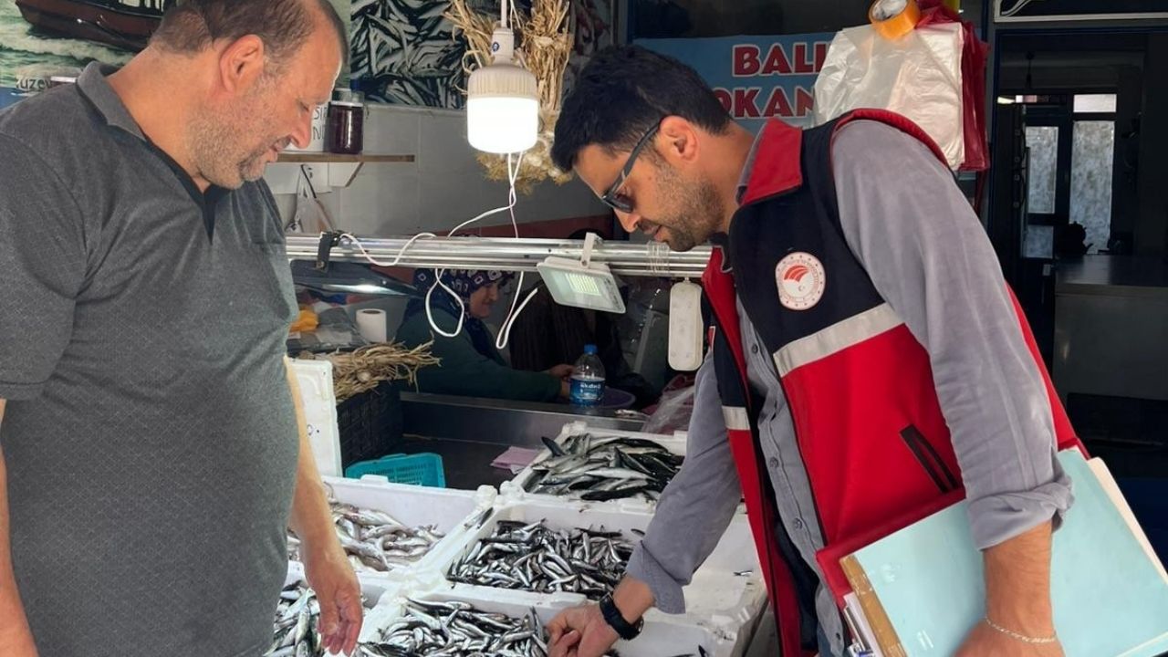 Kastamonu’nun Ilçesinde Balık Tezgahları Ve Av Bayileri Denetlendi (4)