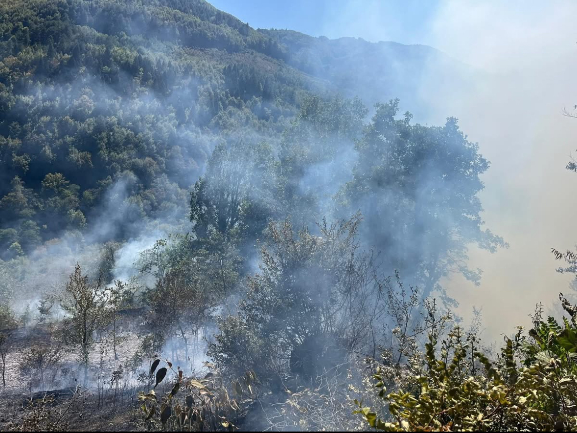 Kastamonu'nun Ilçesinde Çıkan Yangın Söndürüldü 1