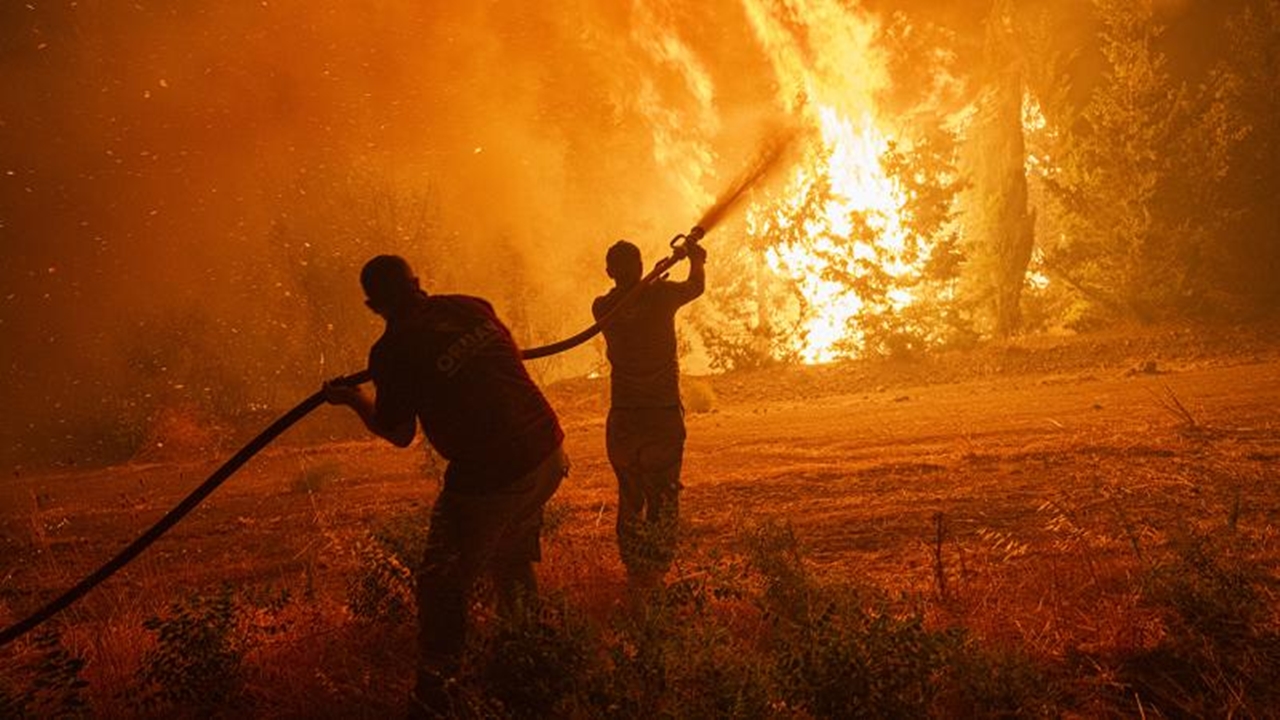 Orman Yangını Yumaklı