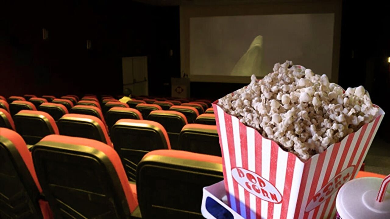 Sinema Salonları (2)