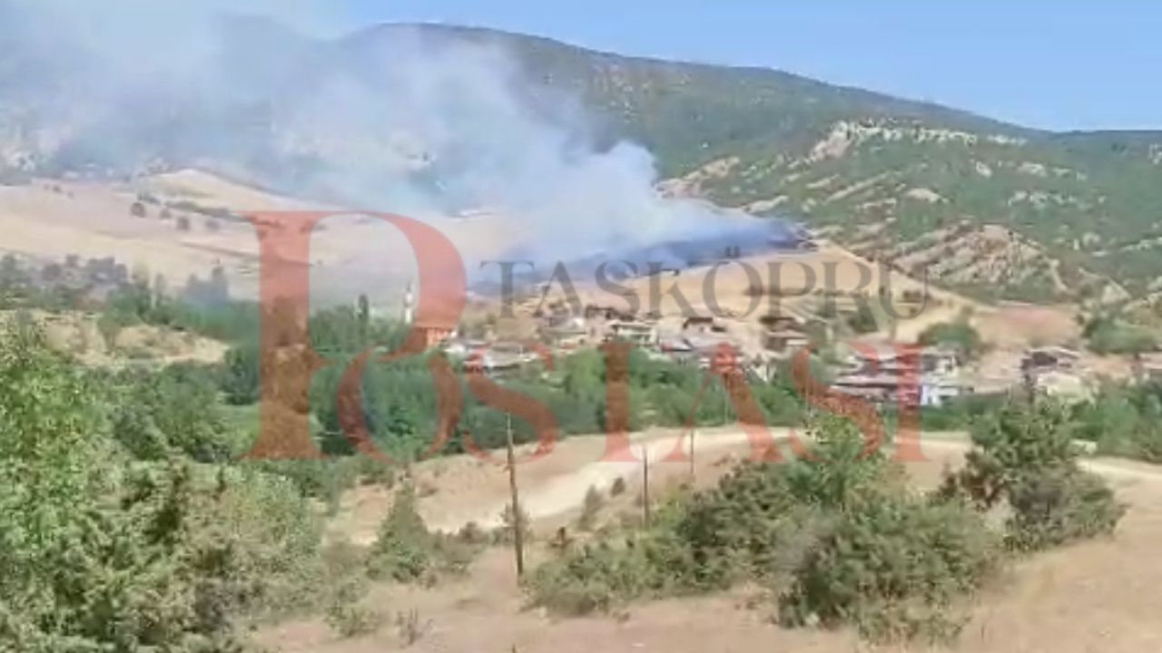 Son Dakika…Taşköprü’de Yine Anız Yangını Ekipler Bölgede! (2)