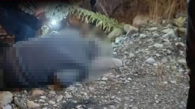 Talihsiz Olay Panayır Alanında Ölü Bulundu 22