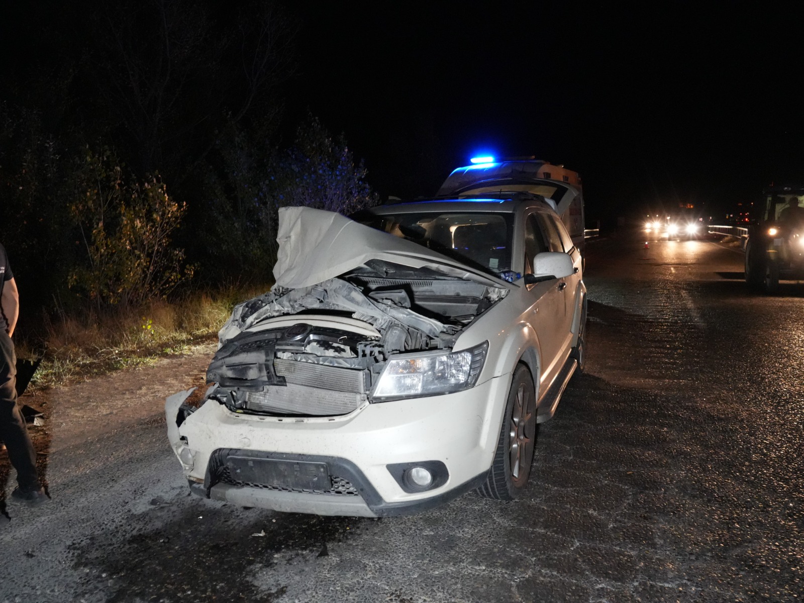 Taşköprü Yolunda 3 Hayvanın Telef Olduğu Kazada Detaylar Belli Oldu 4