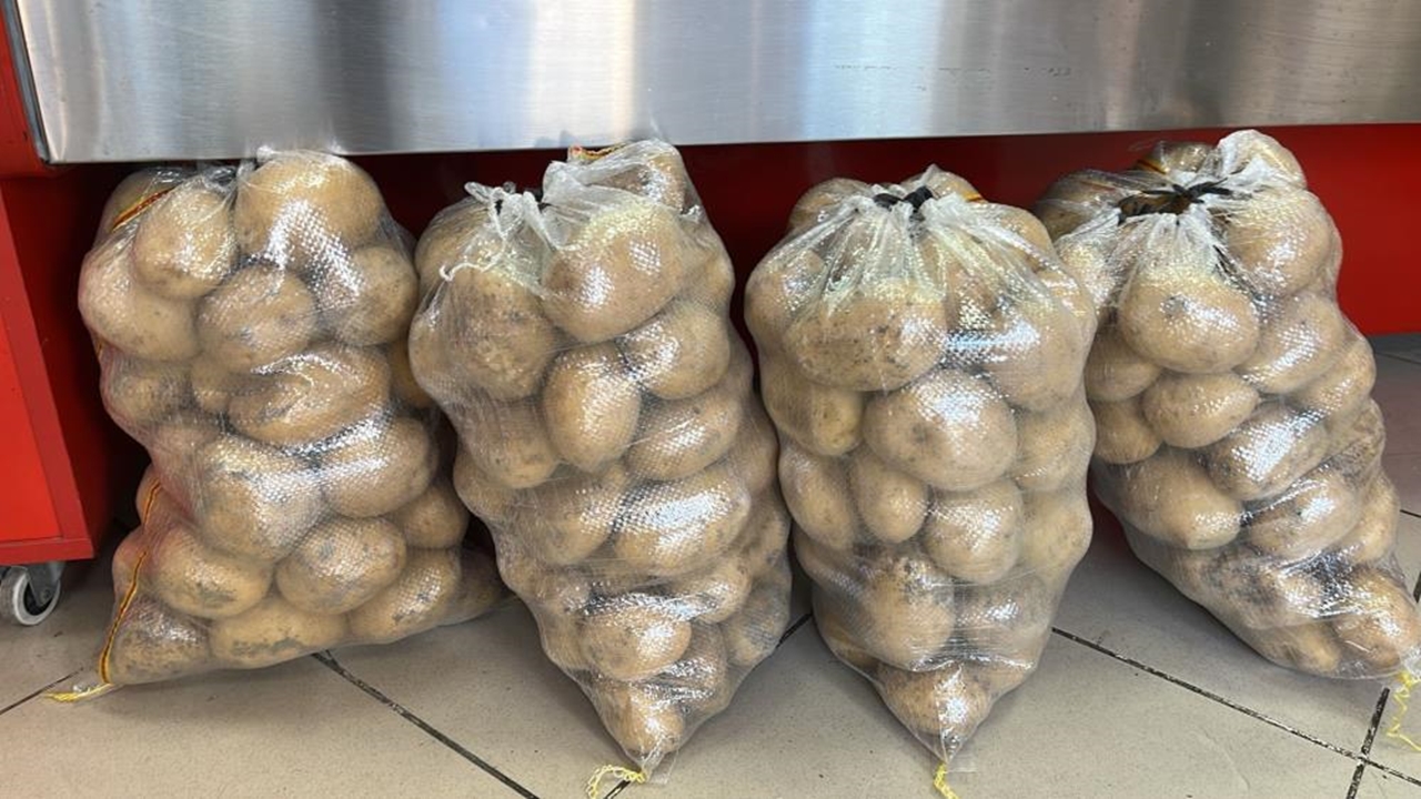 30 Bin Ton Patates Kastamonu (3)