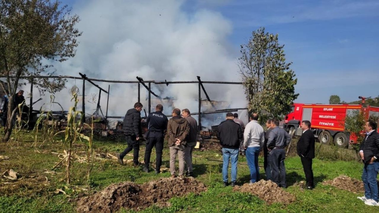 36 Kovan Arı Yanarak Telef Oldu (1)