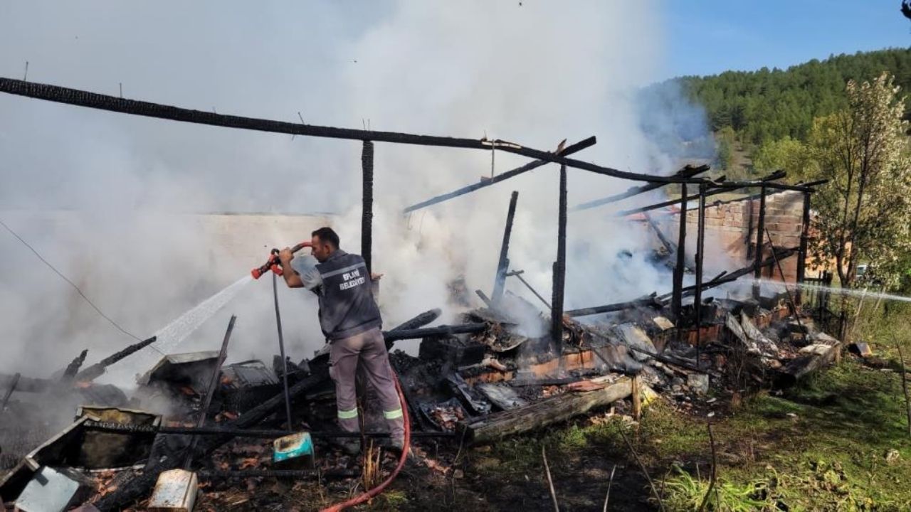 36 Kovan Arı Yanarak Telef Oldu (3)