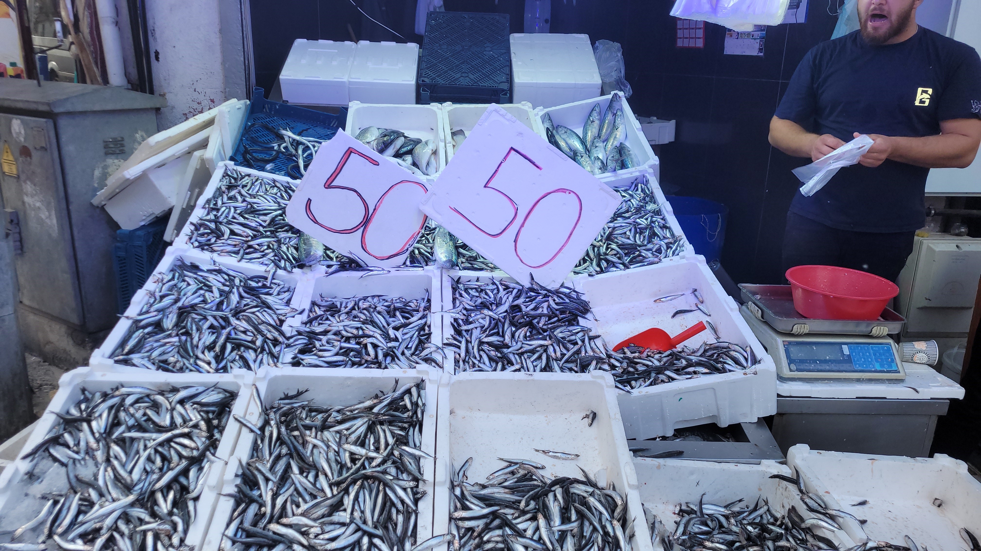 50 Liraya Kadar Düştü, Kastamonu Hamsiye Doyacak! 22
