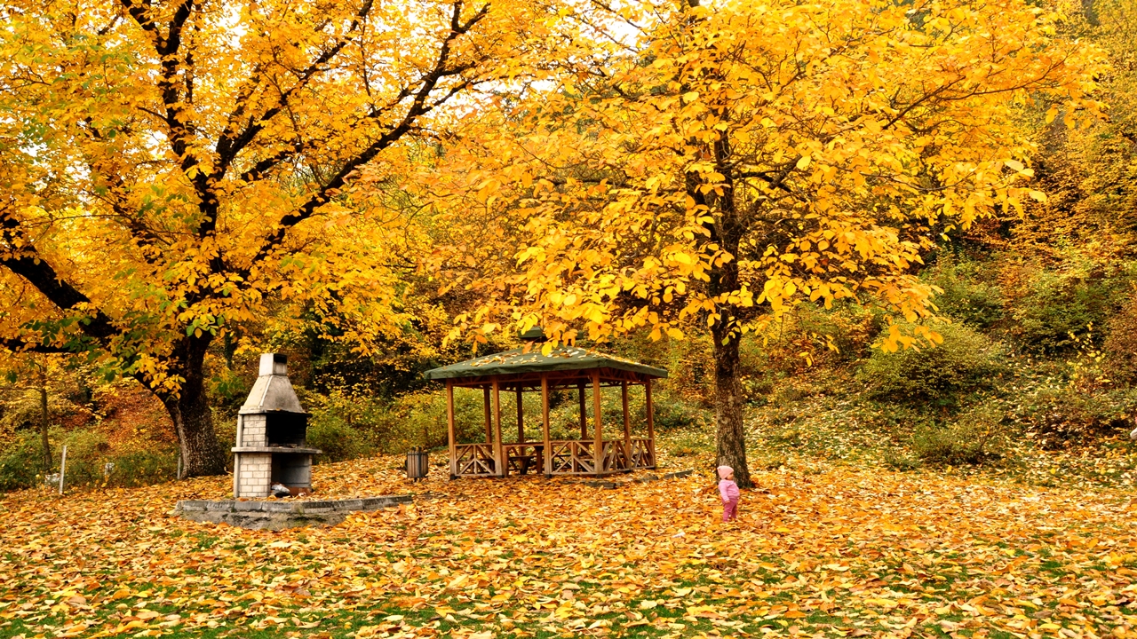 A A 20251030 39563677 39563671 K A S T A M O N U O R M A N L A R I S O N B A H A R R E N K L E R I N E B U R U N D U