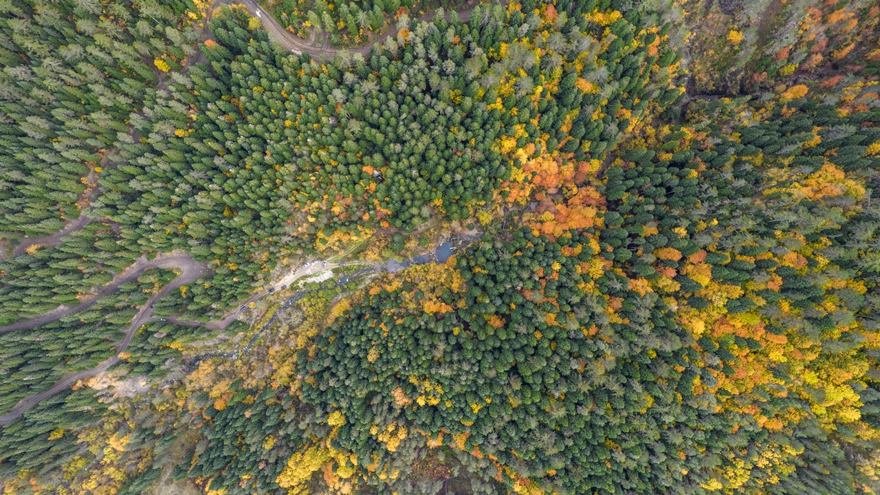 Azdavay Saray Şelalesi (3)