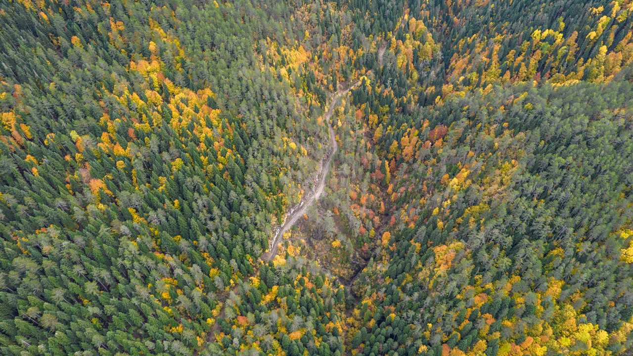 Azdavay Saray Şelalesi (4)