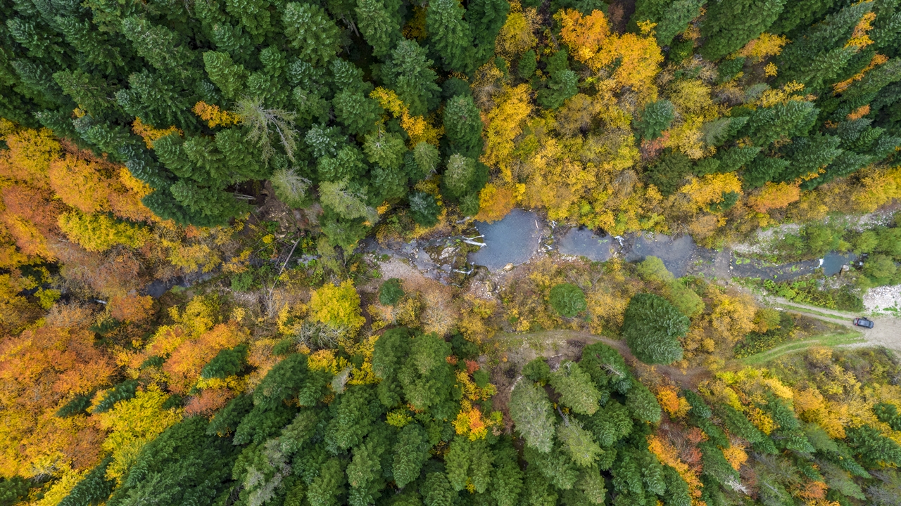 Azdavay Saray Şelalesi (5)