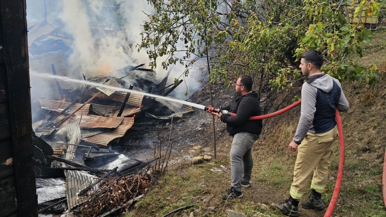 Bozkurt Kocaçam Yangın (4)