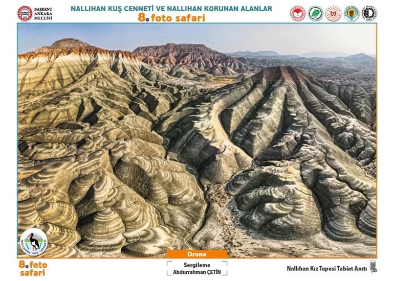 Doğaseverler Dikkat Nallıhan Kuş Cenneti Fotoğraf Sergisi Ziyarete Açılıyor 1