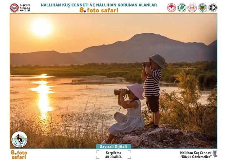 Doğaseverler Dikkat Nallıhan Kuş Cenneti Fotoğraf Sergisi Ziyarete Açılıyor 2