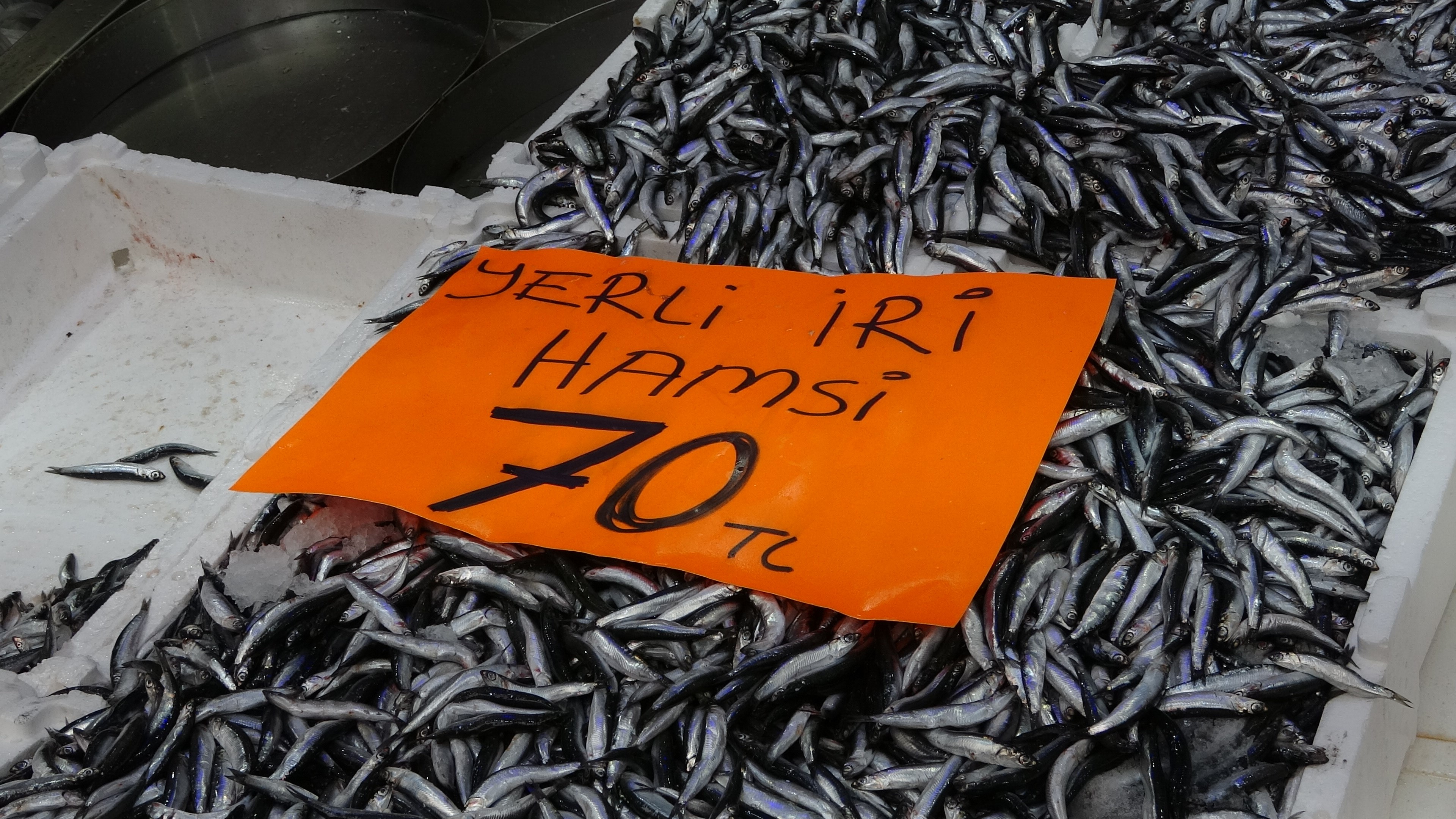 Hamsi 70 Liraya Düştü, Vatandaş Çiğ Çiğ Yedi! 5