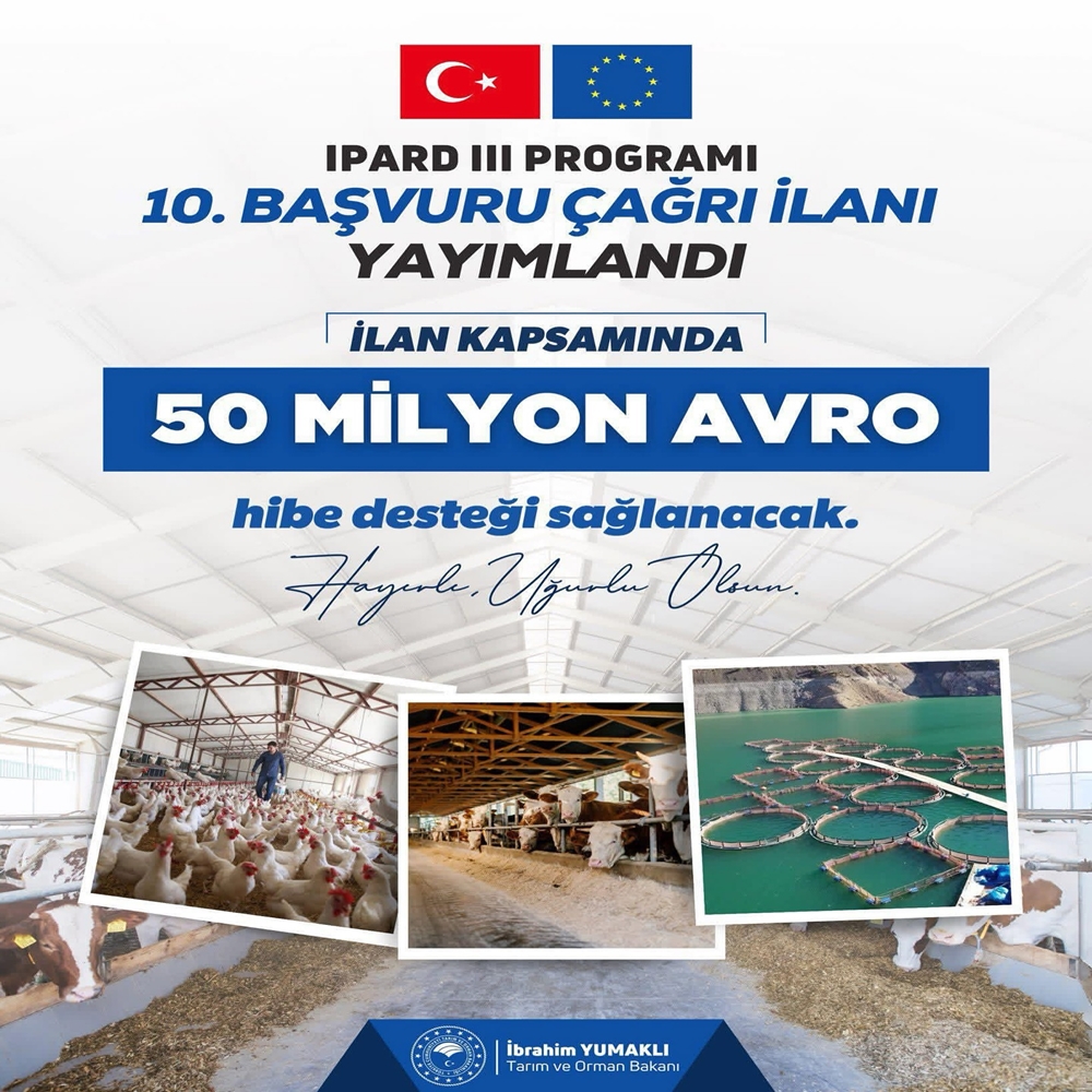 Hibe Tarım (1)