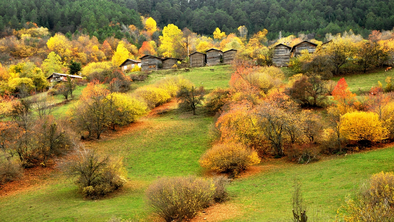 Ihsangazi Sonbahar Güzel (1)